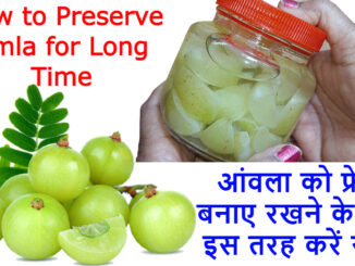 How to Preserve Amla for Months