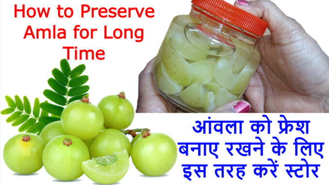 How to Preserve Amla for Months