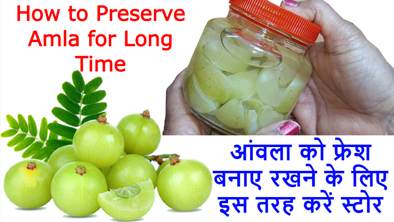 महीनों तक आंवले को स्टोर करने का तरीका | How to Preserve Amla for Months | How to Store Amla for Long Time